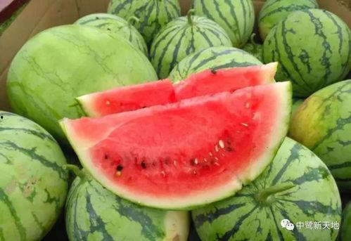 51funcg4今日吃瓜